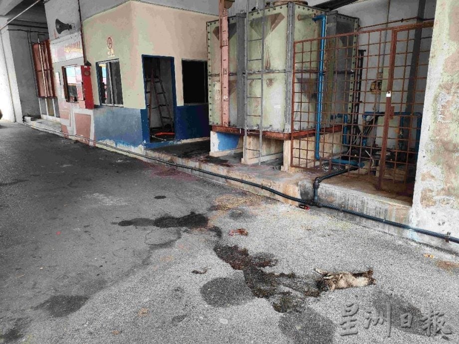 (古城第四版主文)普罗士邦旧巴士总站如“弃婴”