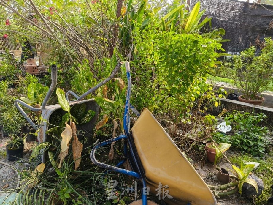 （古城版）哥打拉沙马那依旧是蚊症疫情最严重地区