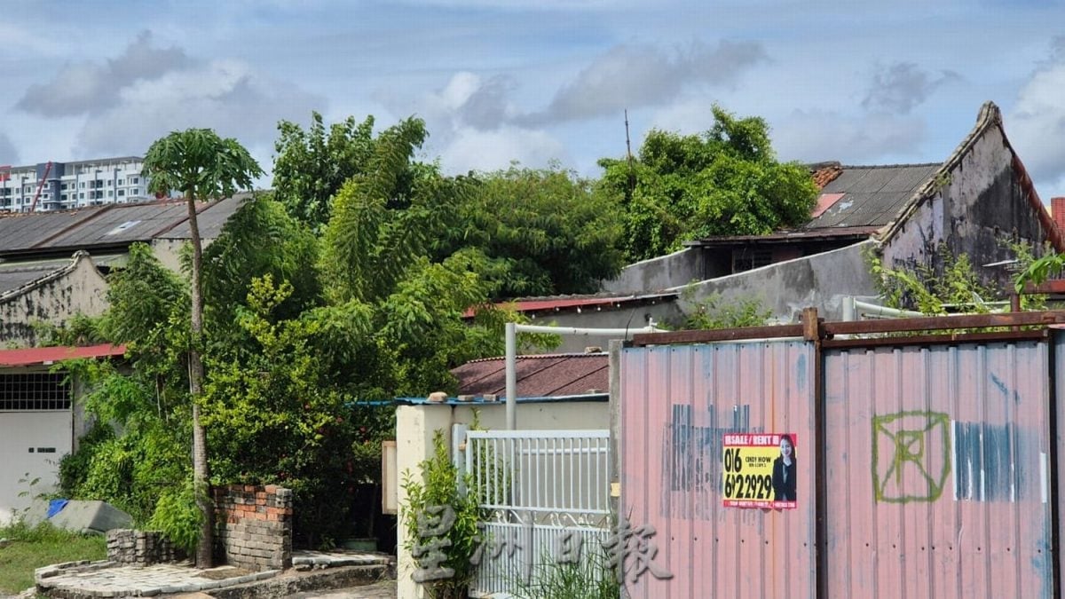 （古城版）哥打拉沙马那依旧是蚊症疫情最严重地区