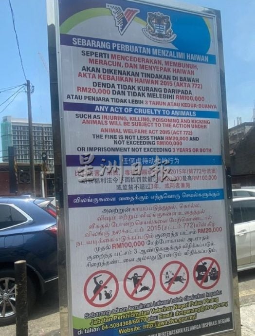 供星洲网/万茂新村数周多只流浪狗中毒亡，村长：不爱也别伤害！