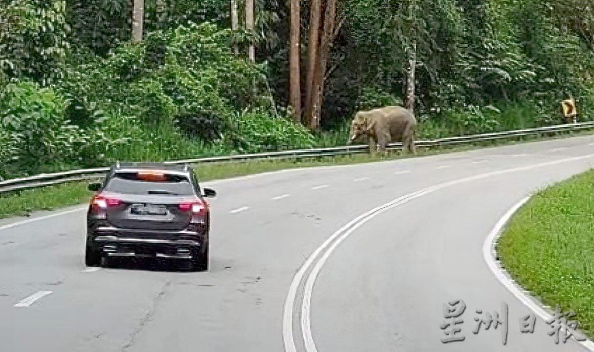 罗思义:霹雳可以这样玩 规划开盲盒生态路线