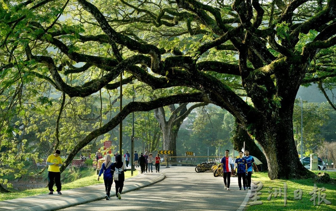 罗思义:霹雳可以这样玩 规划开盲盒生态路线