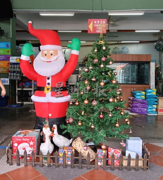 (古城第二版主文)圣诞布置陆续登场吸引人潮