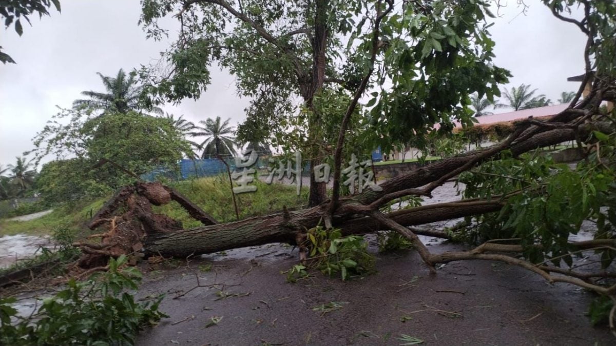 供星洲网/“森亚尔”破坏力惊人，波县多所学校建筑物遭暴风来袭