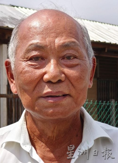 东：大树触及电讯杆的电线 村民冀当局修剪