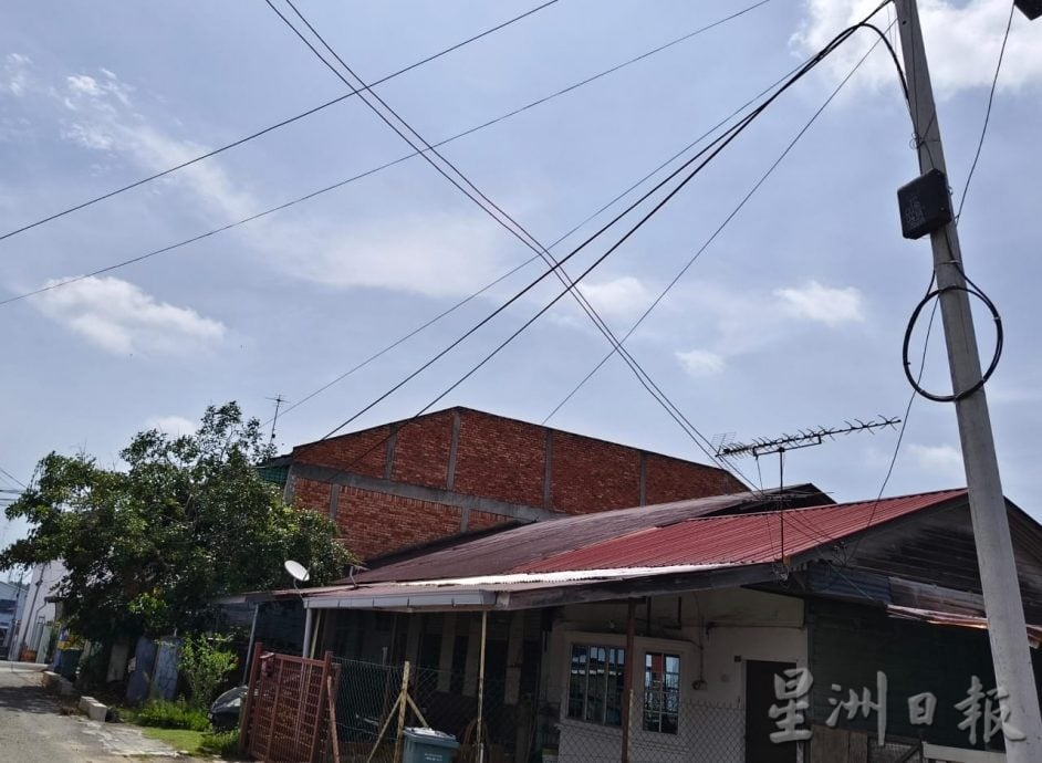 东：大树触及电讯杆的电线 村民冀当局修剪