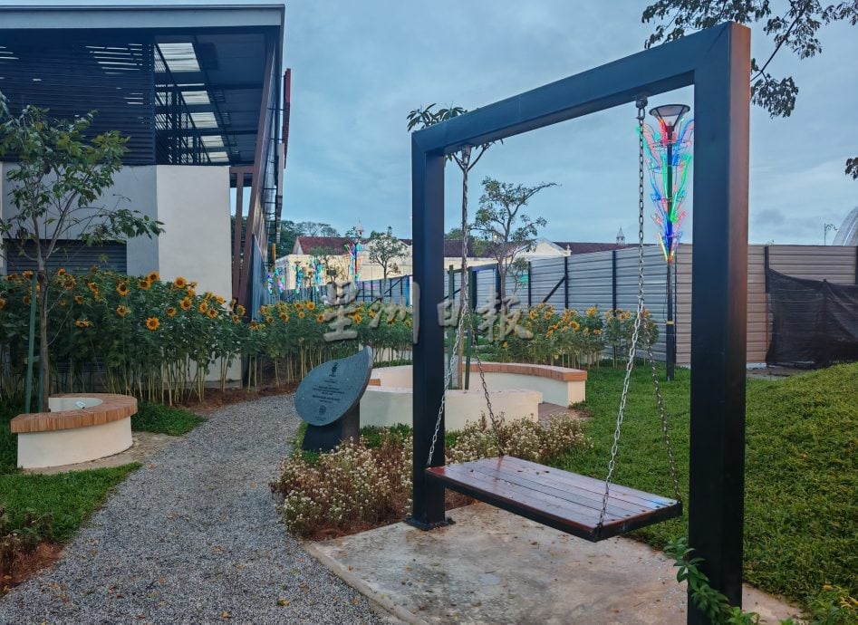 星角摄:吉打州首个“城市森林”开满向日葵。