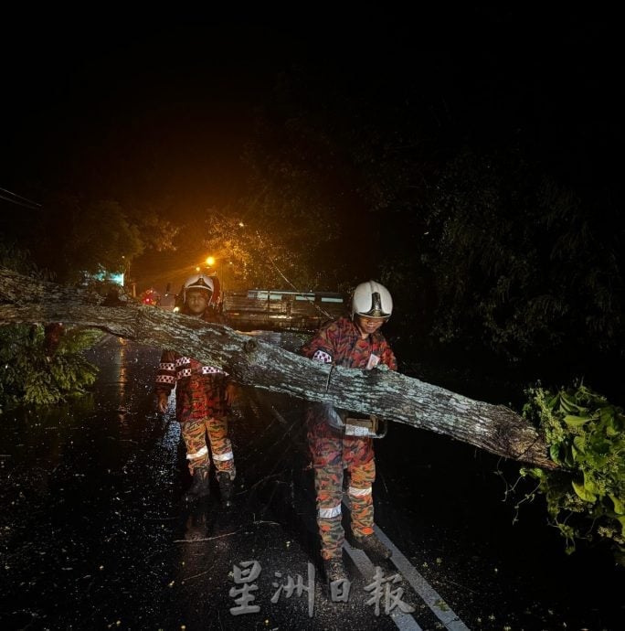 （古城版）甲州多区发生树倒事故