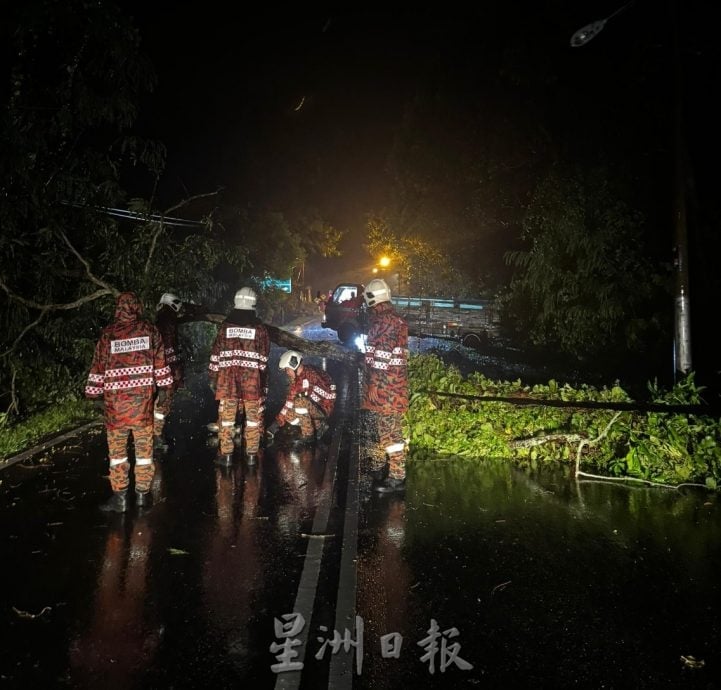 （古城版）甲州多区发生树倒事故