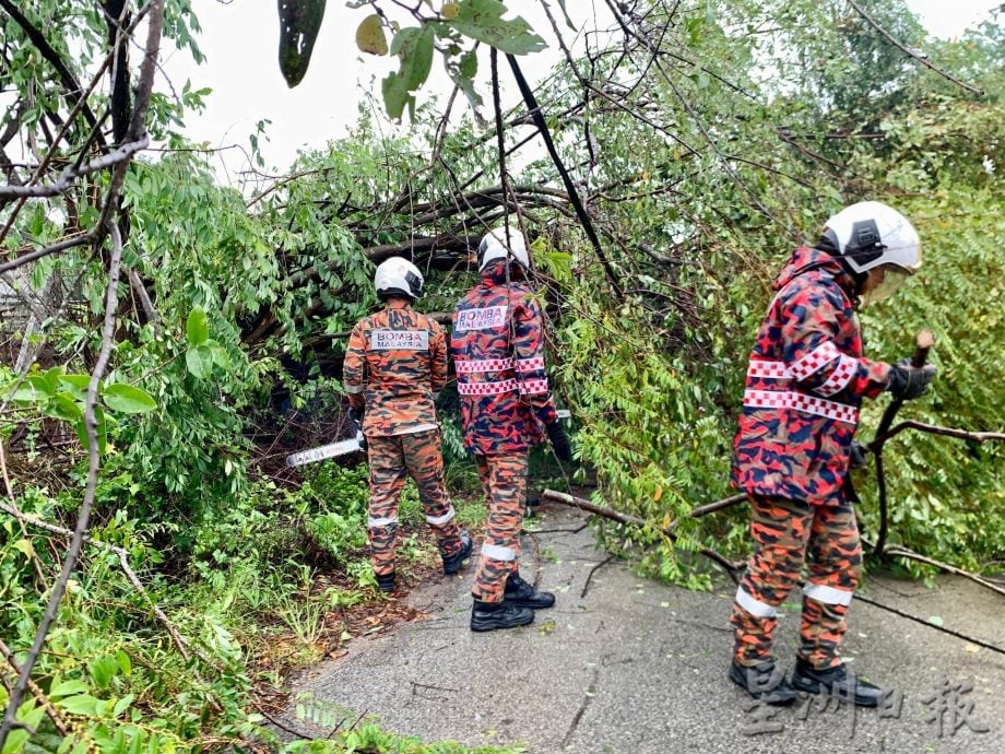 “森亚尔”肆虐后满城狼藉 波德申逾200建筑受损、上千棵树倒 当局全力清理灾区
