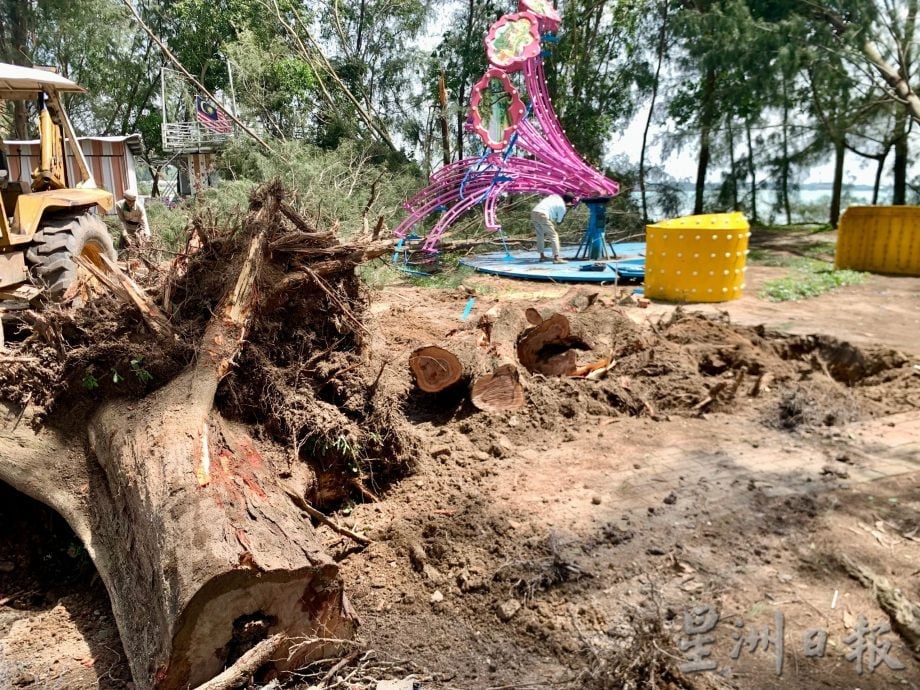 “森亚尔”肆虐后满城狼藉 波德申逾200建筑受损、上千棵树倒 当局全力清理灾区