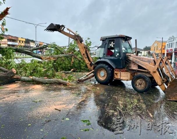 “森亚尔”肆虐后满城狼藉 波德申逾200建筑受损、上千棵树倒 当局全力清理灾区
