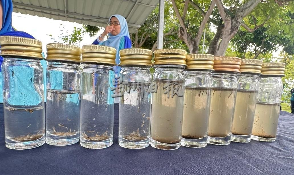 （古城第六版主文）花园住宅区找到孑孓温床 刘志俍：今年3人死勿掉以轻心