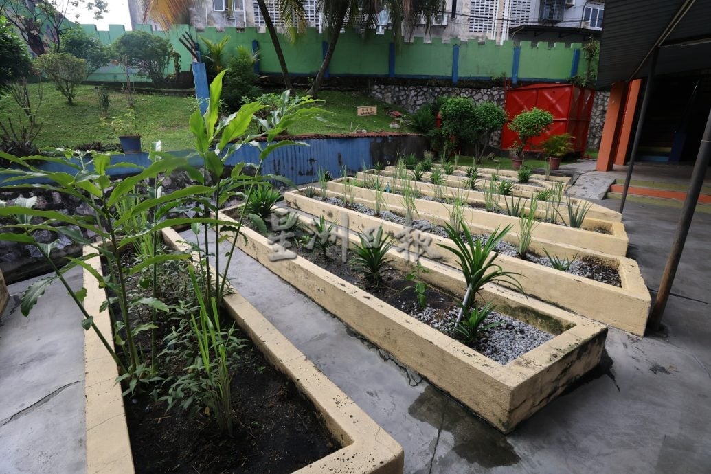 大都会/校园我董-吉隆坡精武华小