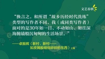 卓振辉/新村，新村——如皮屑般细细碎碎的东西（上）