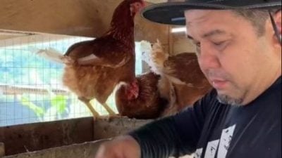 视频 | 另类方式感谢选民  加马威：农渔业是我热爱的部门