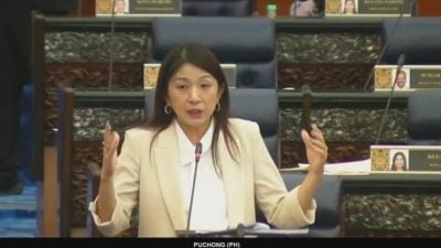 受害者恐变霸凌者   杨美盈：须强制性后续干预