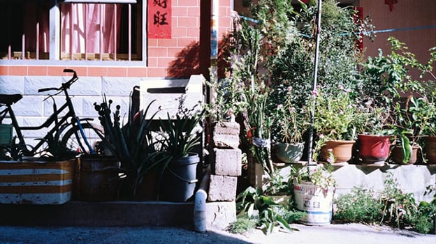 胭脂马拄到关老爷/小泥（马六甲）