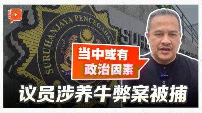 吉打养牛弊案 被捕议员：当中或涉政治目的