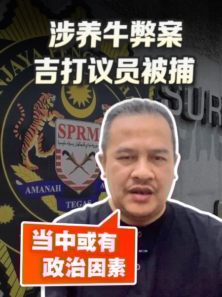 吉打养牛弊案 被捕议员：当中或涉政治目的