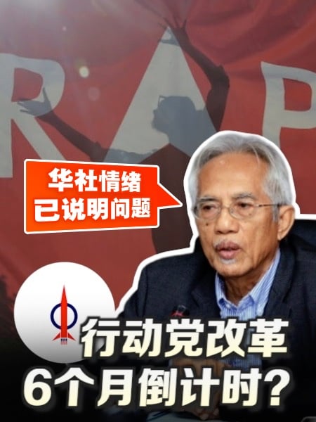 “行动党是政府脊梁” 资深媒体人点破安华困局