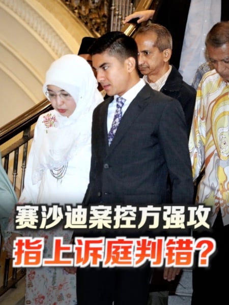 赛沙迪案控方强攻 指上诉庭判错？