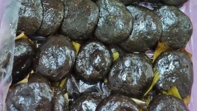 狗子鸭、苎麻叶粄、唐山角……   古冈州美食宴同乡