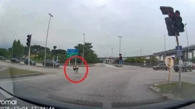 2少年骑蚊型脚车闯红灯  警：两人供称不知交通灯转红