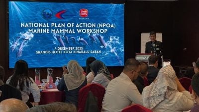 落实首个NPOA管理计划 马加强海洋哺乳动物保育