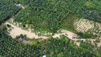 持续降雨河水暴涨 山打根数甘榜受灾