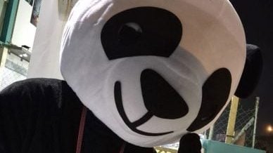 “熊猫妈妈”带孩子街头合影换小额红包 路人鼻酸：她把尊严缝进布偶服里