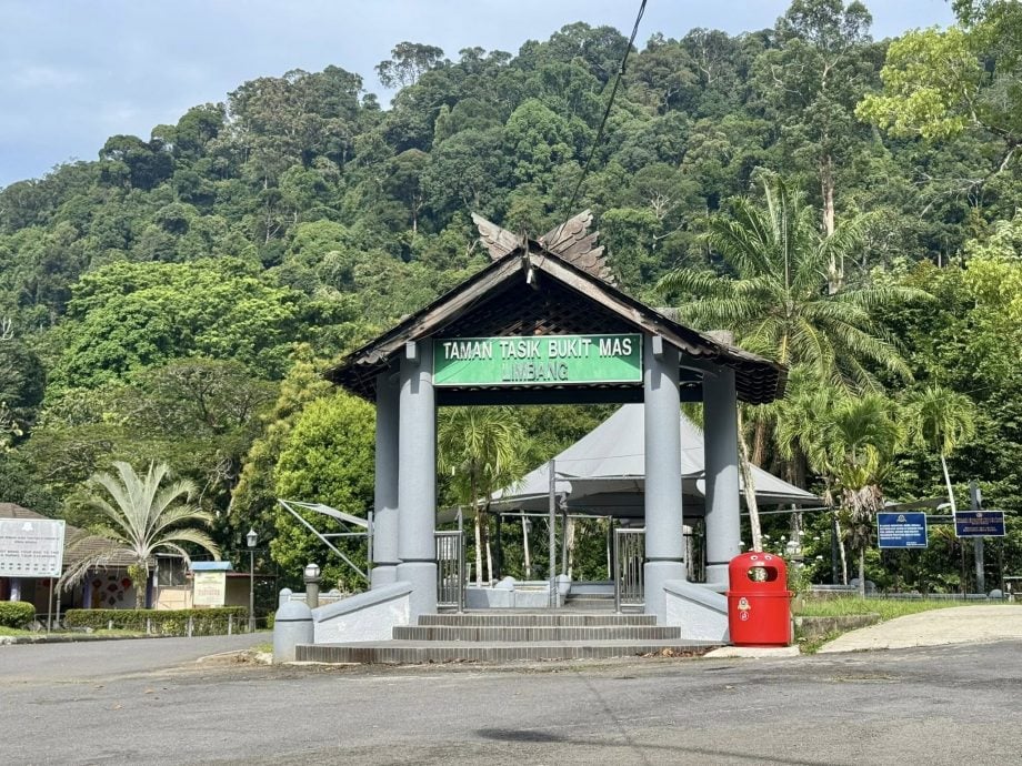 *发现砂拉越*林梦金山