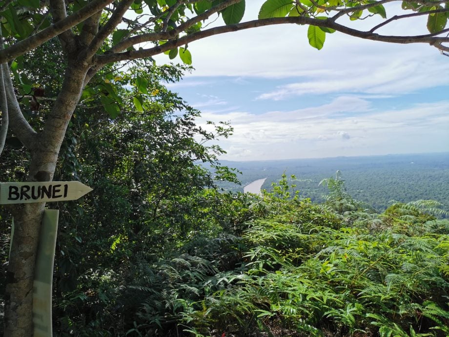 *发现砂拉越*林梦金山