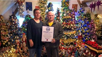 621棵圣诞树置于屋内创纪录！