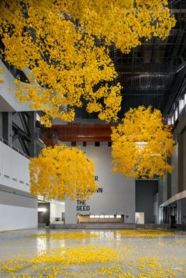 The 15th Shanghai Biennale Opens – Does the flower hear the bee?