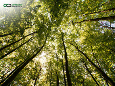 Credo Assurance Earns ESG Certification to Support Sustainability Reporting