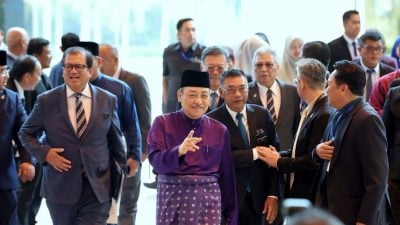 强化官联公司治理　SMJE资产飙至49亿