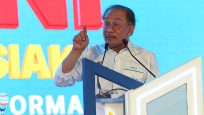 昌明大马活动及公服改革大会  3天共逾50万人参与