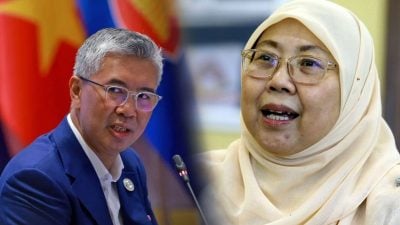 傅芝雅：去年蓝眼大会   没计划宣布赛夫鲁入党