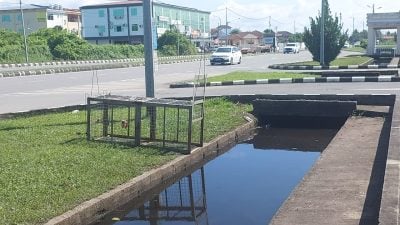 史纳汀商区现鳄踪 . 森林机构设诱饵捕捉