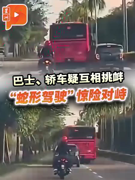 粉红巴士与Axia“蛇形驾驶” 巴士司机毒检呈阳被捕