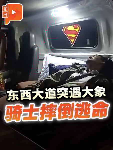 骑士东西大道撞上大象 摔倒逃命 大象毁摩托