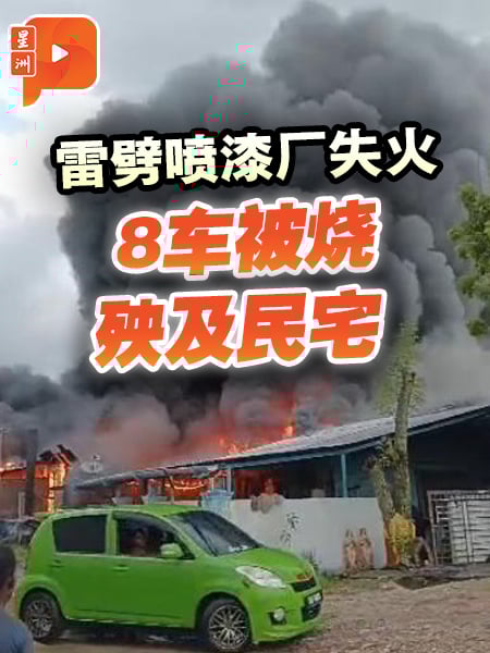 喷漆厂遭雷击起火 8车被烧波及民宅