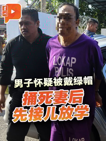 男子怀疑被戴绿帽 捅死妻后先接儿放学