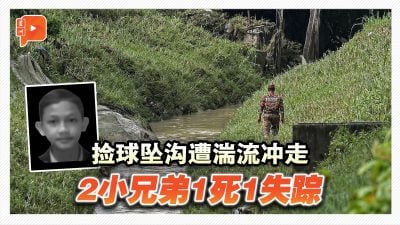 捡球坠沟兄弟失踪 12岁弟弟证实身亡