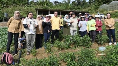 放眼高地农业典范 拉央拉央山农场潜力大