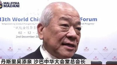 吴添泉：包括华社 沙新政府属于全民