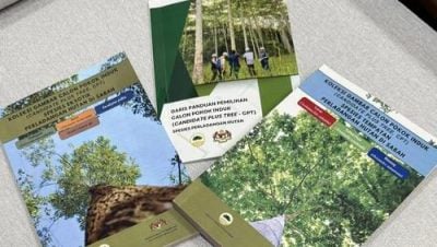 出版3本人工林相关书籍 沙森林局强化树种改良