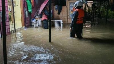 强降雨 加海水涨潮．数低洼区积水引惶慌
