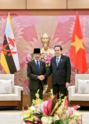 预祝越南国会迎80周年 . 苏丹与陈青敏交流